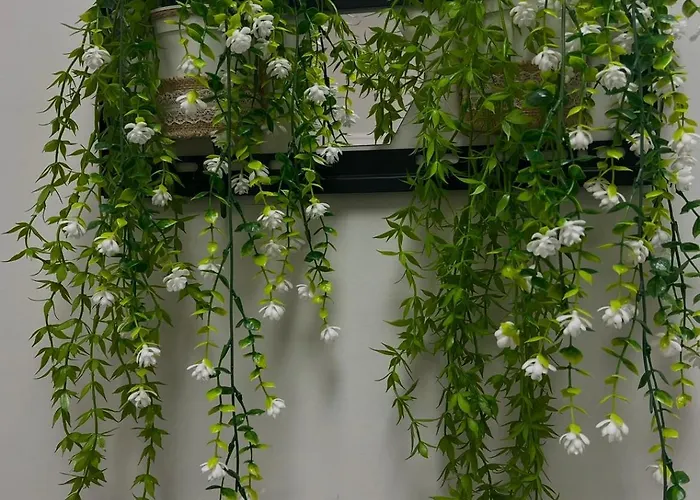 公寓 Smile In Center 地拉那