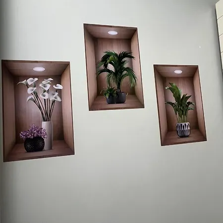 Apartment Smile In Center *